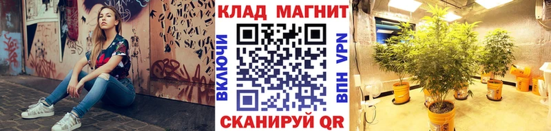 Магазины продажи наркотиков Артёмовск ГАШИШ Псилоцибиновые грибы МЕФ Марихуана A-PVP АМФЕТАМИН