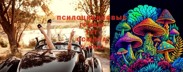 винт Алексеевка